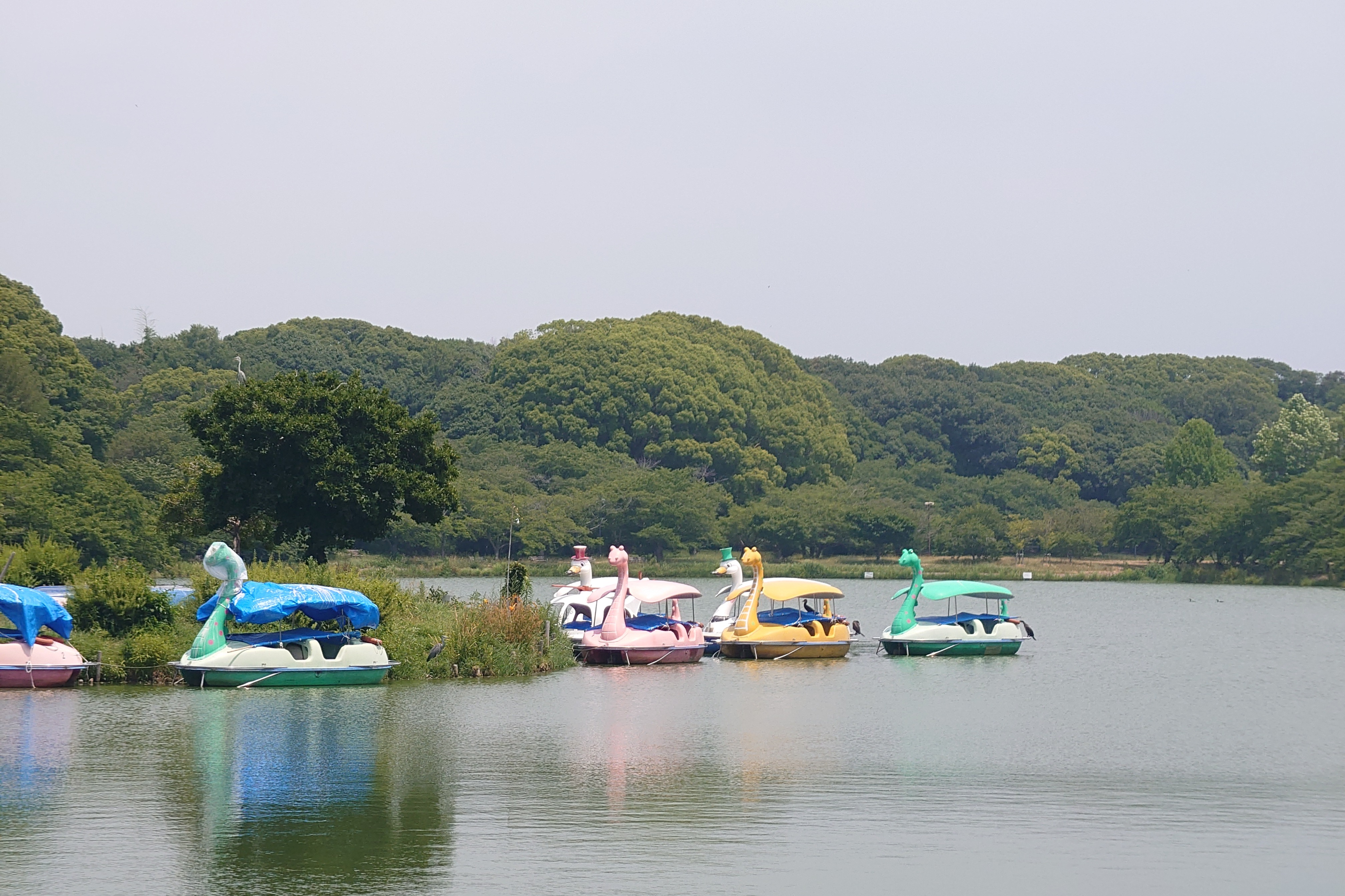 兵庫県立明石公園