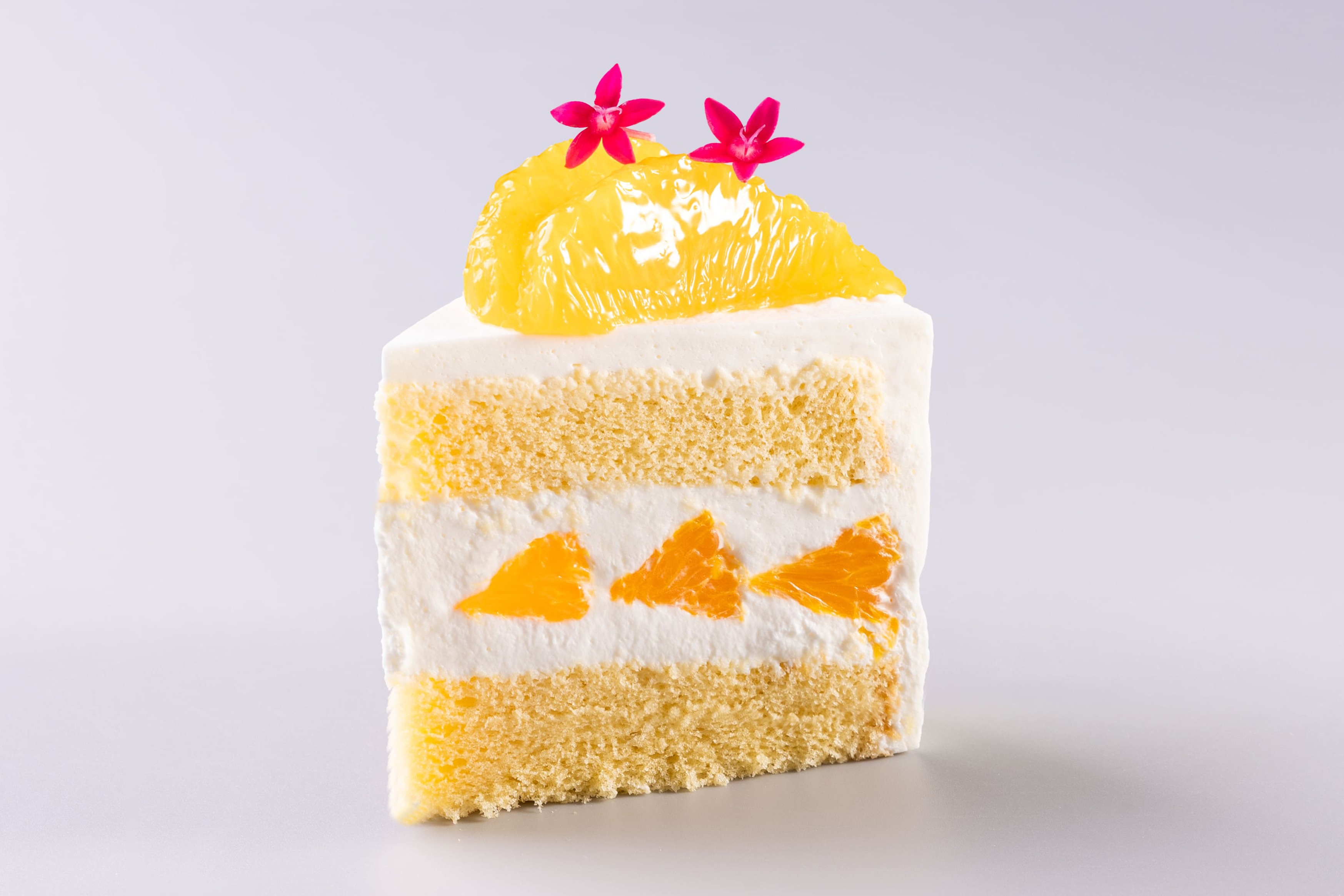 清見オレンジと阿波和三盆のショートケーキ